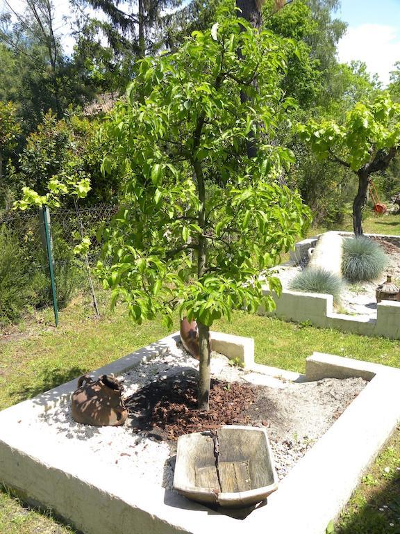 Villa Mogador Piscine Et Balneo Andernos-les-Bains Dış mekan fotoğraf