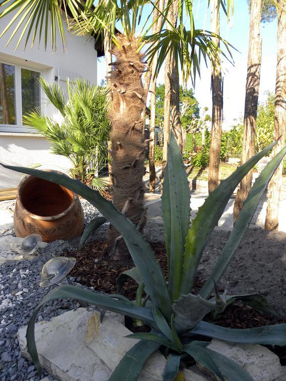 Villa Mogador Piscine Et Balneo Andernos-les-Bains Dış mekan fotoğraf